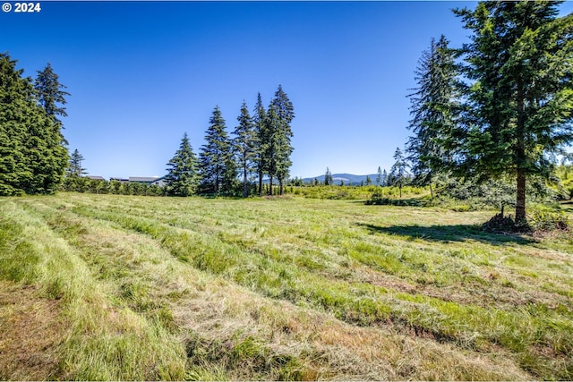 view of nature featuring a rural view