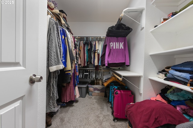 spacious closet featuring light colored carpet