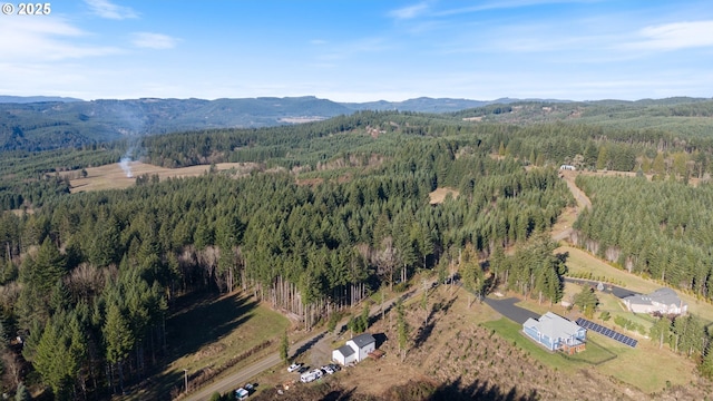 drone / aerial view featuring a mountain view