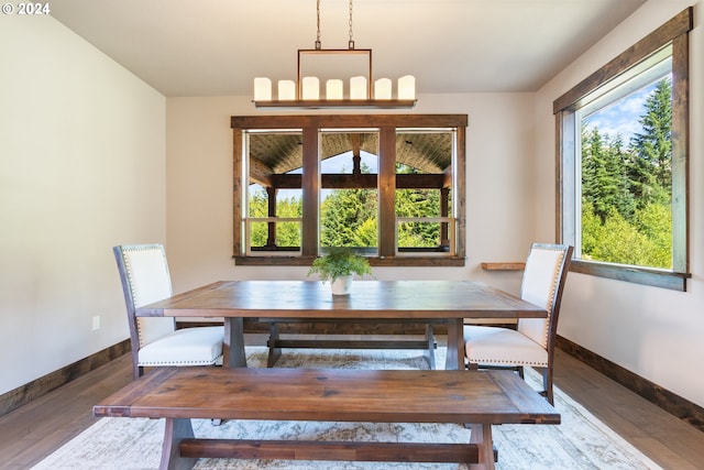 unfurnished dining area featuring wood-type flooring