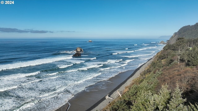 79274 Ray Brown Rd, Arch Cape, OR 97102 - property view of water featuring a view of the beach