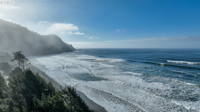 79274 Ray Brown Rd, Arch Cape, OR 97102 - water view with a view of the beach