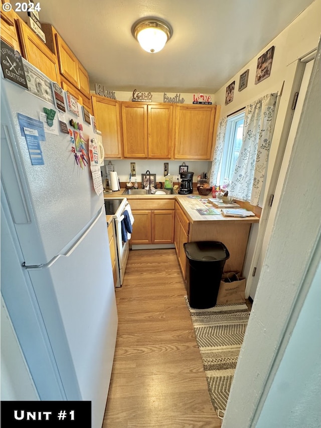 kitchen with sink, white appliances, and light hardwood / wood-style flooring