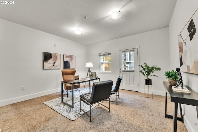 carpeted office space with a textured ceiling