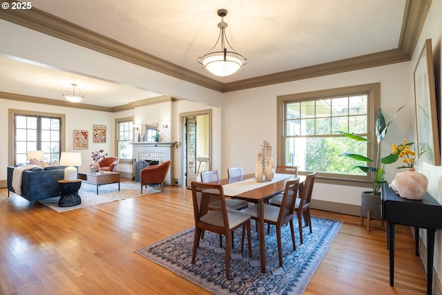 dining room with hardwood / wood-style flooring and a wealth of natural light