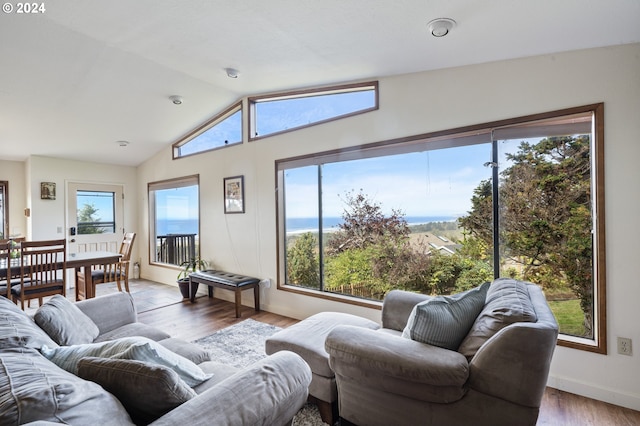 living room featuring light hardwood / wood-style flooring, vaulted ceiling, and a wealth of natural light