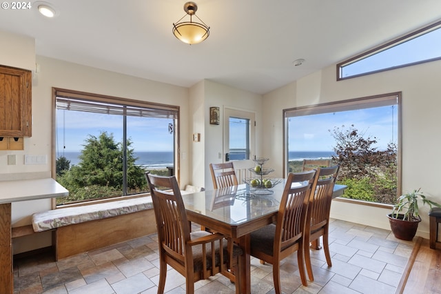 dining space with a water view, lofted ceiling, plenty of natural light, and light wood-type flooring