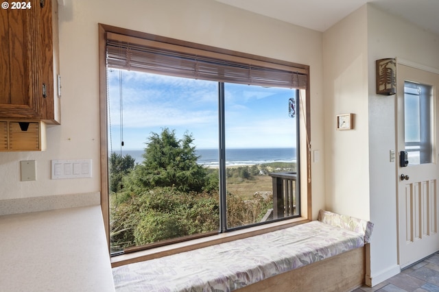 doorway featuring plenty of natural light and a water view