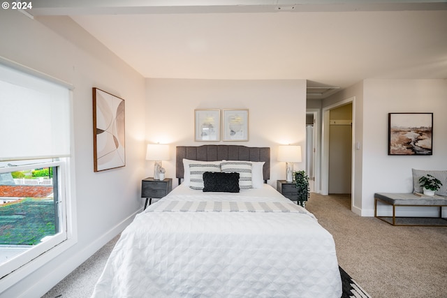 bedroom with carpet floors