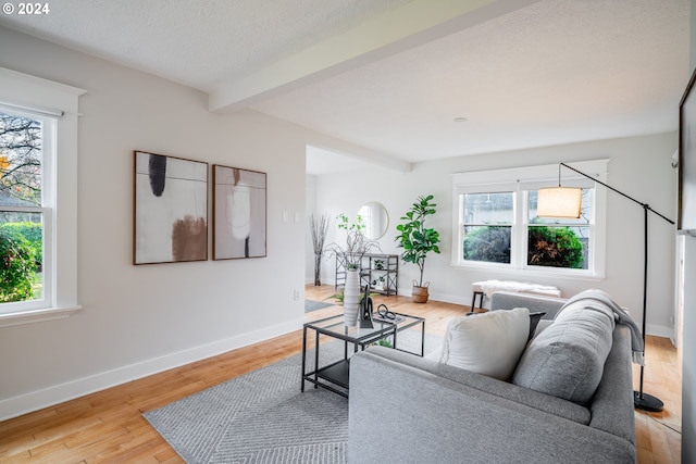 living room featuring beam ceiling, a wealth of natural light, a textured ceiling, and light wood-type flooring