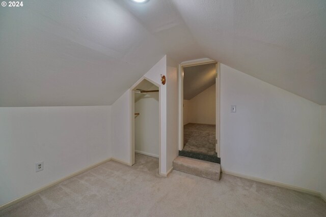 additional living space featuring light colored carpet, a textured ceiling, and vaulted ceiling