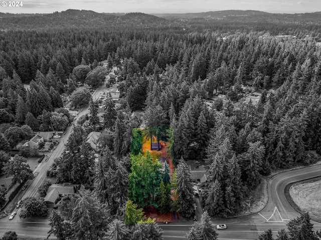 drone / aerial view featuring a mountain view