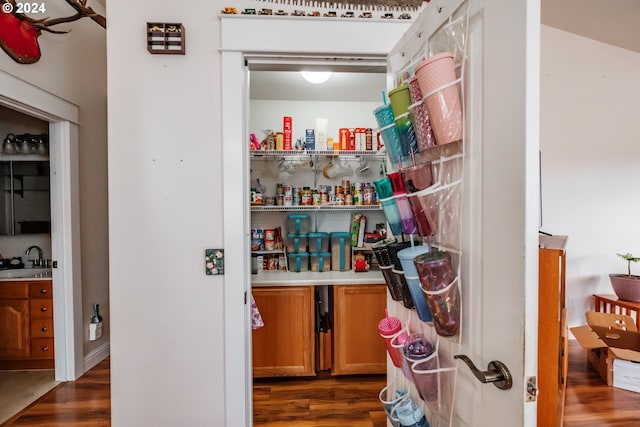 pantry with sink