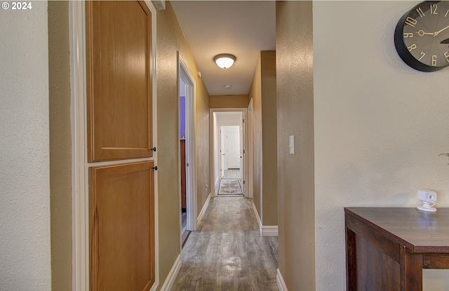 hallway featuring wood-type flooring