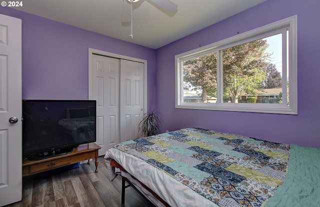 bedroom featuring ceiling fan, wood-type flooring, and a closet