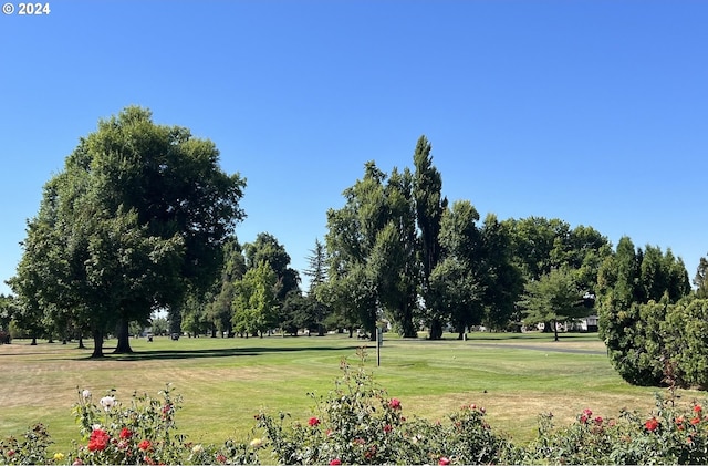 view of home's community with a yard