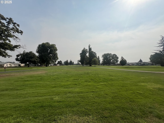 view of community featuring a lawn