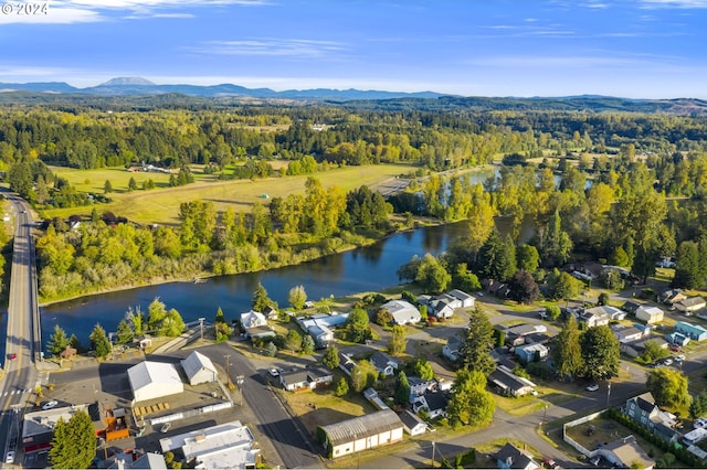 drone / aerial view featuring a water and mountain view and a view of trees