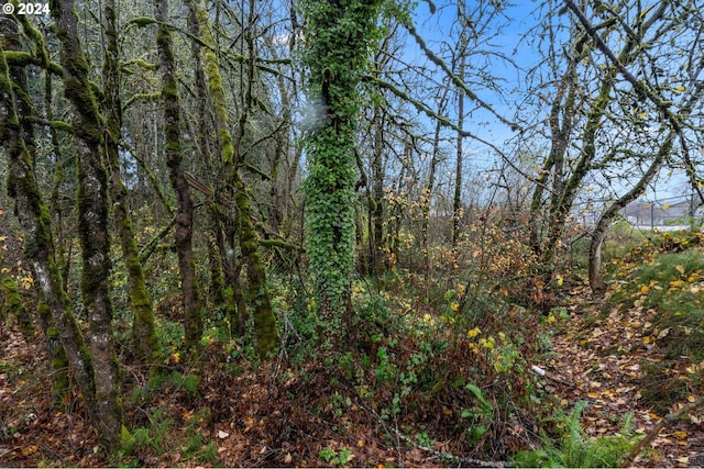 0 Main St, Sweet Home, OR 97386