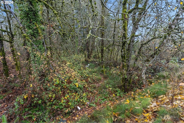 0 Main St, Sweet Home, OR 97386