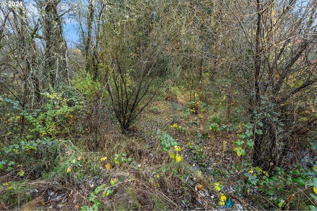 0 Main St, Sweet Home, OR 97386