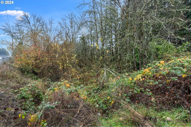 0 Main St, Sweet Home, OR 97386