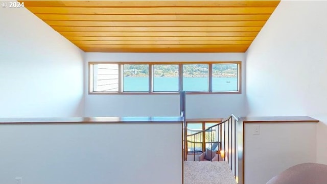 interior space with lofted ceiling and wood ceiling