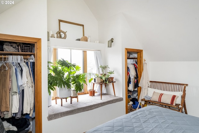 bedroom with vaulted ceiling and a closet