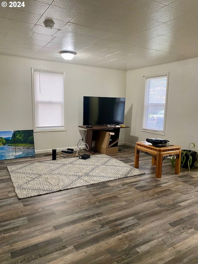 living room featuring hardwood / wood-style floors