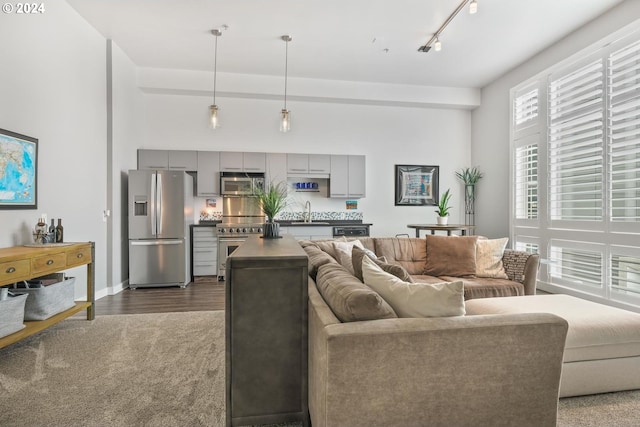 living room with track lighting, dark hardwood / wood-style floors, and sink