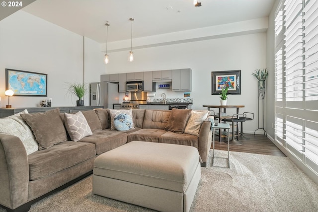 living room with a wealth of natural light, hardwood / wood-style flooring, and sink