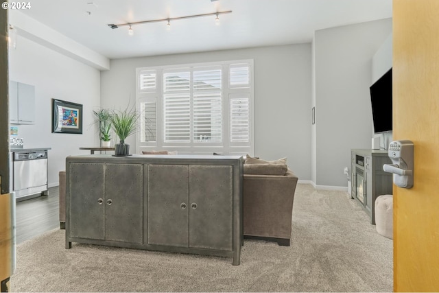 carpeted living room featuring track lighting