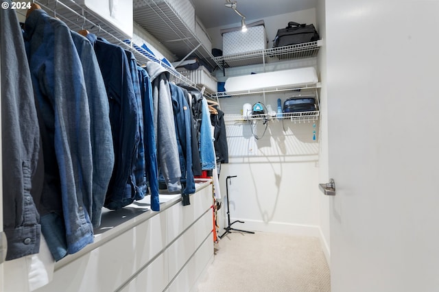 spacious closet featuring carpet floors