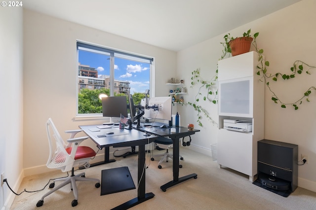 office space with light carpet