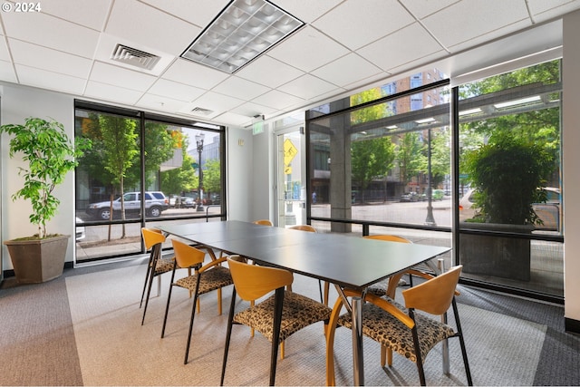 rec room with carpet flooring, a wall of windows, and a drop ceiling