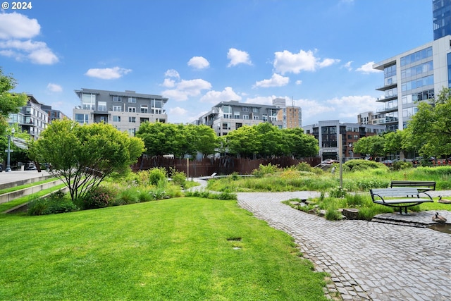 view of home's community with a lawn