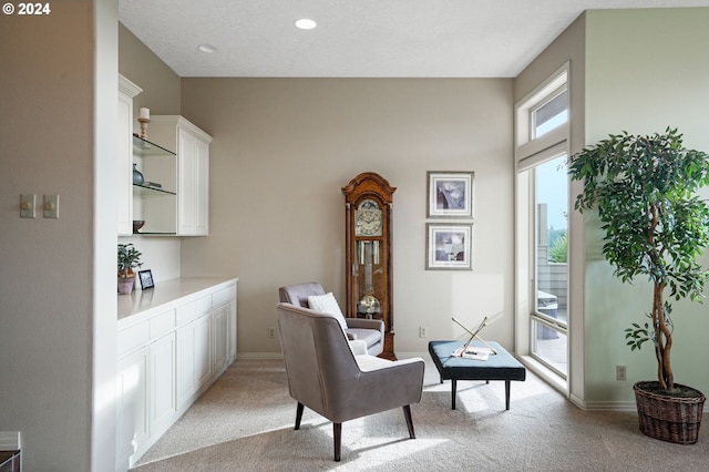 sitting room featuring light carpet