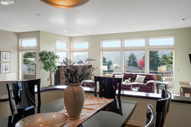 view of dining area