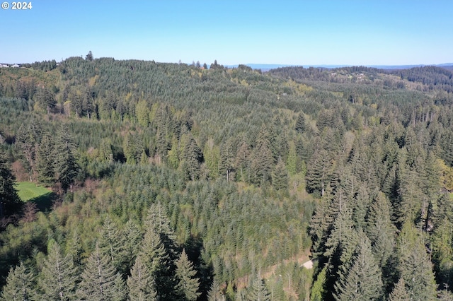 0 NE Westerholm Rd, Brush Prairie WA, 98606 land for sale