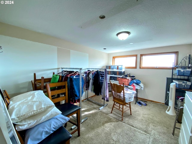 interior space with light carpet and a textured ceiling