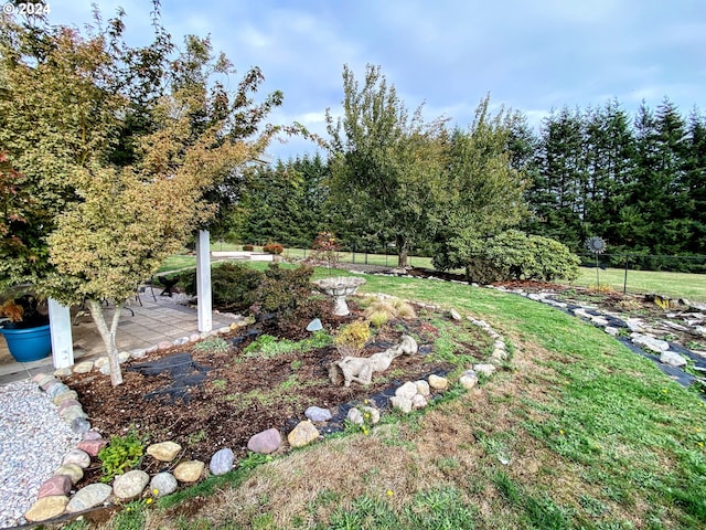 view of yard with a patio