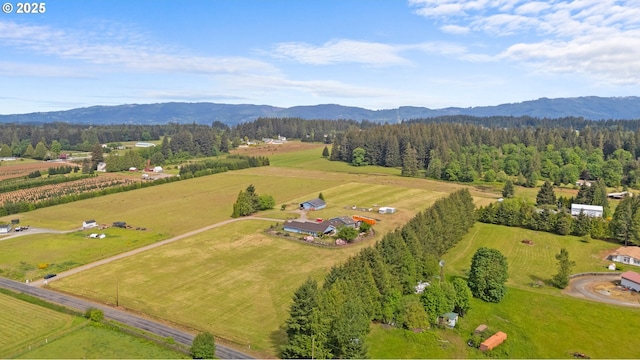 4804 NE 379th St, La Center, WA 98629 - overview of rural landscape featuring mountains and a forest