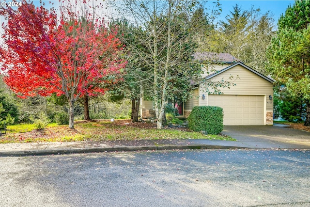 view of property hidden behind natural elements with a garage