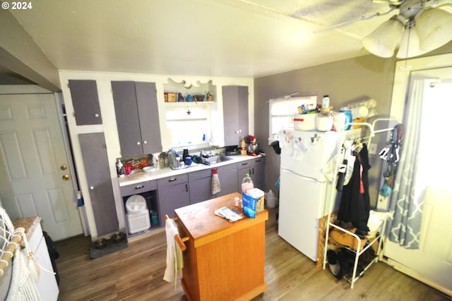 kitchen featuring gray cabinetry, ceiling fan, sink, wood-type flooring, and white refrigerator