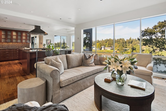 living room with hardwood / wood-style floors and sink