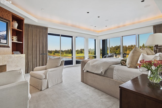 carpeted bedroom with access to exterior, a raised ceiling, and multiple windows