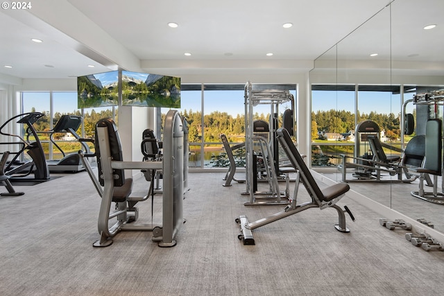 workout area with light colored carpet