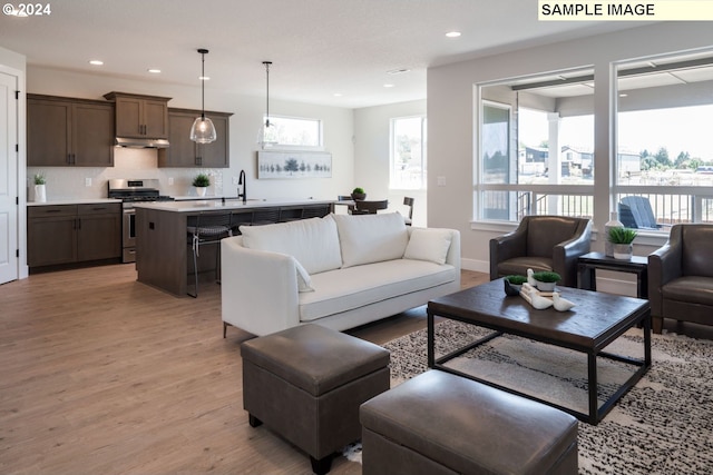 living room featuring plenty of natural light, light wood-type flooring, and sink