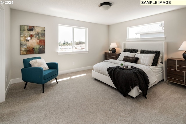 bedroom with carpet floors and multiple windows