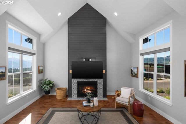 living room featuring high vaulted ceiling, hardwood / wood-style flooring, and a fireplace